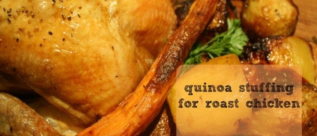 repeaters, grapevines and quinoa stuffing for roast chicken