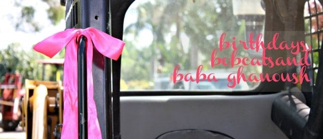 birthdays, bobcats and baba ghanoush