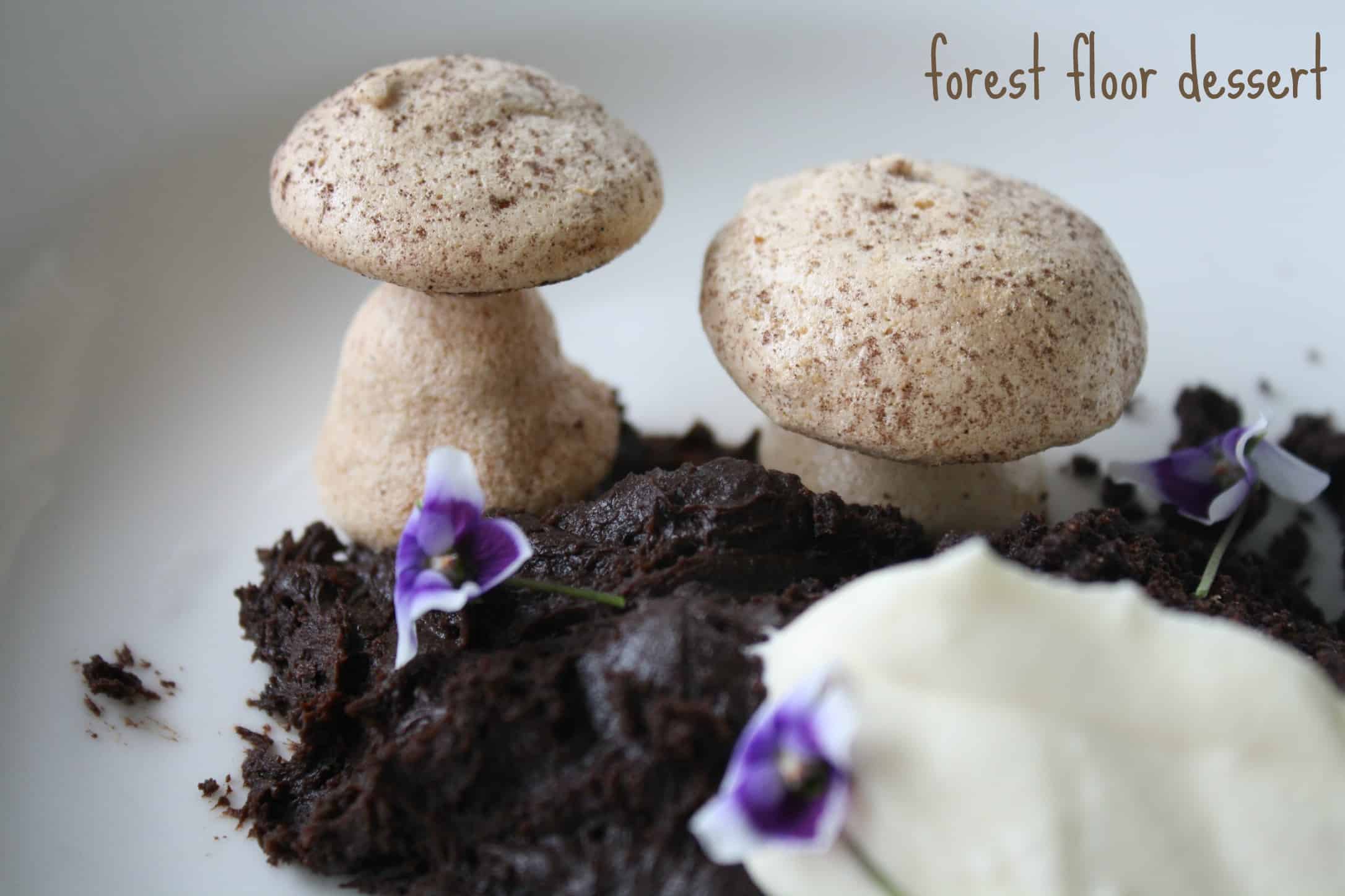 3 forest floor dessert mushroom chocolate cooker and a looker Cooker