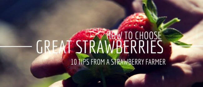 how to choose great strawberries